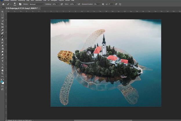 In deze cursus Photoshop voor beginners leer je de basis van het programma Photoshop. Alles wat je nodig hebt om snel aan de slag te kunnen, komt aan bod.