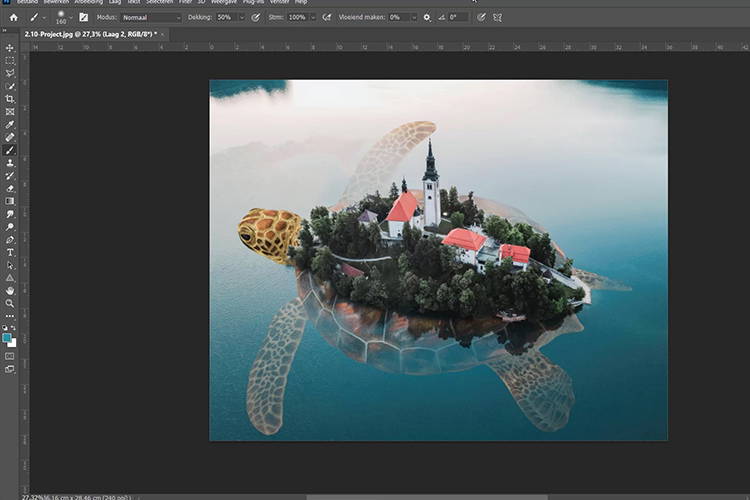 In deze cursus Photoshop voor beginners leer je de basis van het programma Photoshop. Alles wat je nodig hebt om snel aan de slag te kunnen, komt aan bod.