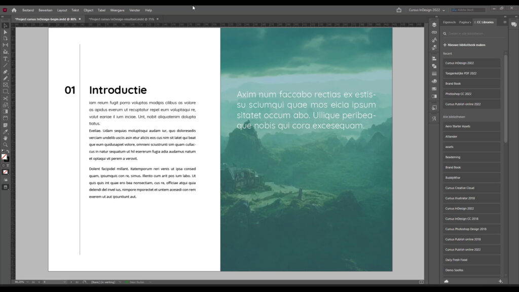 Leer je ontwerpen tot leven brengen in dynamische layouts die het ook van de lezer trekken.