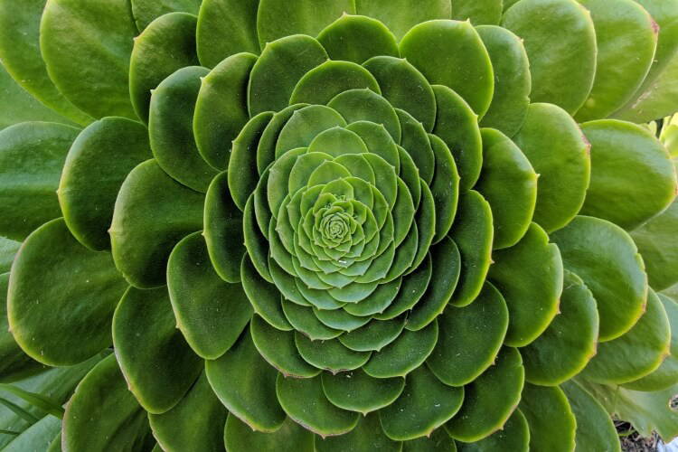 In dit onderdeel gaan we leren hoe we dynamische componenten kunnen maken. Je weet hierna hoe je React kan gebruiken om herhaling te voorkomen, nooit meer zul je HTML tot in den treure herhalen.