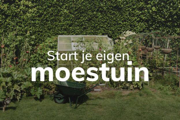 Online cursus start je eigen moestuin van de moestuinclub op Soofos