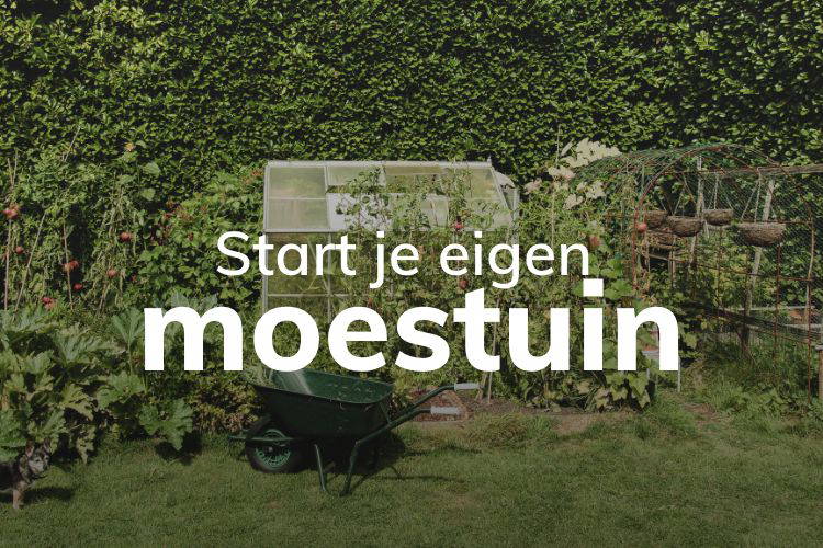 Online cursus start je eigen moestuin van de moestuinclub op Soofos