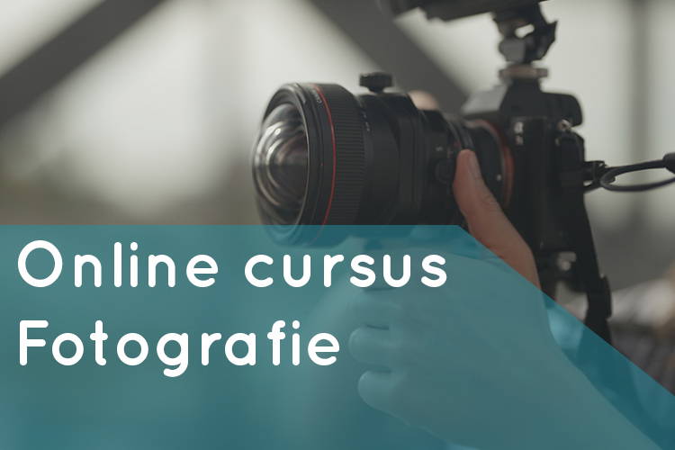 Online cursus fotografie van Martijn van Weeghel op Soofos