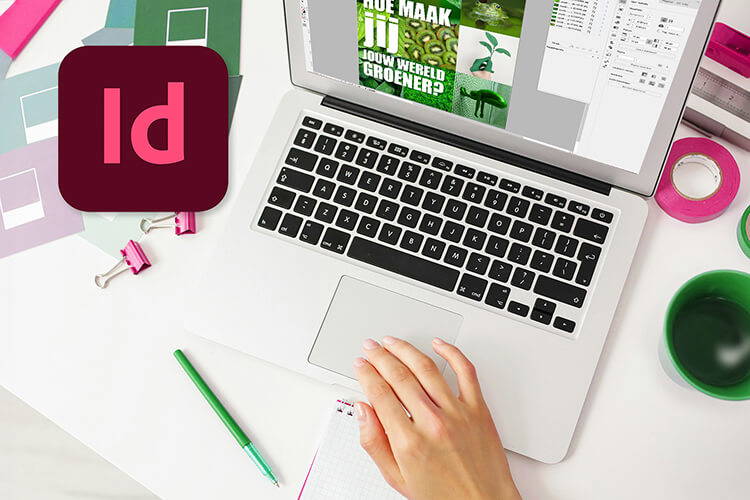 Basiscursus InDesign 2024: ideaal voor beginners en gevorderden