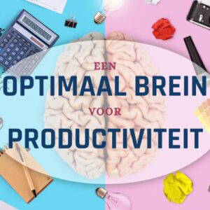 Cursusafbeelding Online cursus Een optimaal brein voor productiviteit