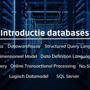 Online cursus introductie databases