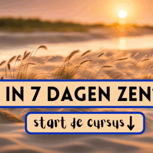 Cursusafbeelding online cursus in 7 dagen Zen