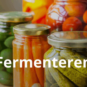 Cursusafbeelding voor online cursus Leren Fermenteren op Soofos