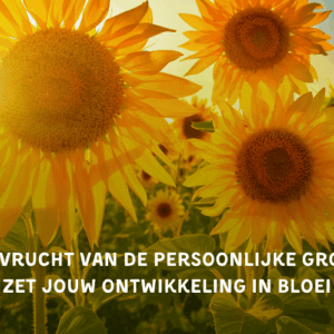 Cursusafbeelding online cursus over Persoonlijke groei
