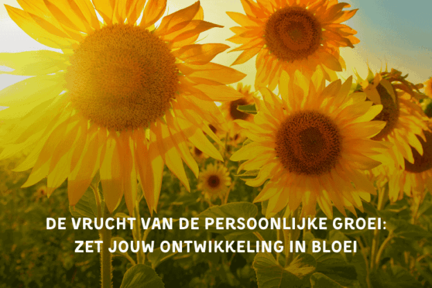 Cursusafbeelding online cursus over Persoonlijke groei