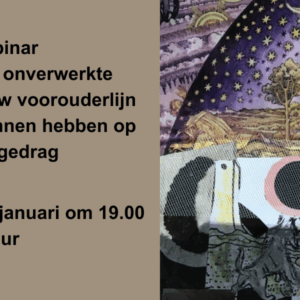Hoe beinvloedt jouw familiesysteem jouw gedrag in het hier en nu