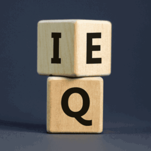 Workshop emotional intelligence