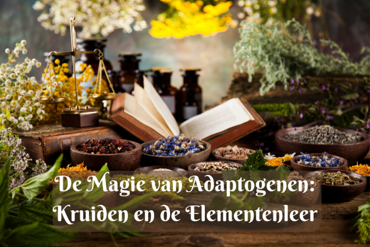 Afbeelding online cursus Kruiden en elementenleer-De magie van adaptogenen