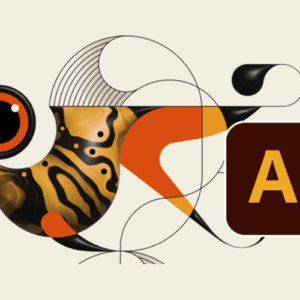 Afbeelding online cursus Snel op weg met Adobe Illustrator
