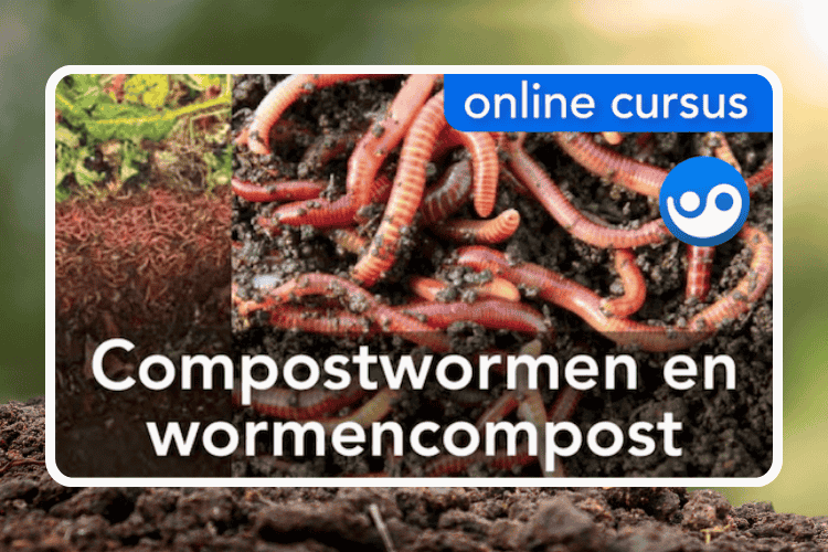 Cursusafbeelding voor online cursus wormencompost van Permades op Soofos