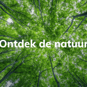 Ontdek de natuur
