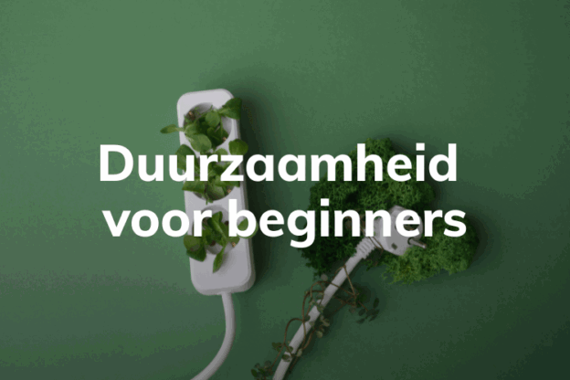 Afbeelding voor online cursus Duurzaamheid voor Beginners op Soofos