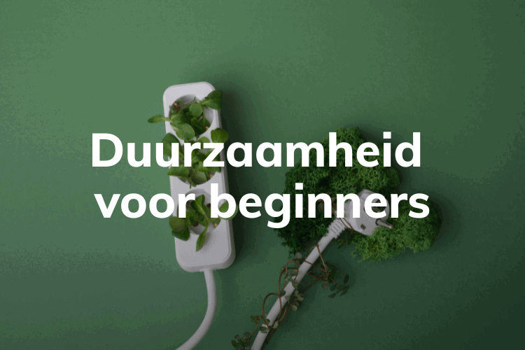 Afbeelding voor online cursus Duurzaamheid voor Beginners op Soofos