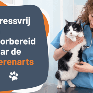 Afbeelding bij online cursus Stressvrij en voorbereid naar de dierenarts op Soofos