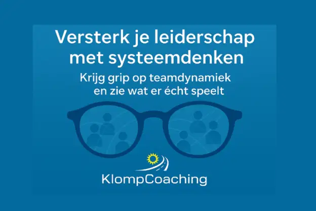 Afbeelding bij online cursus Versterk je leiderschap met systeemdenken