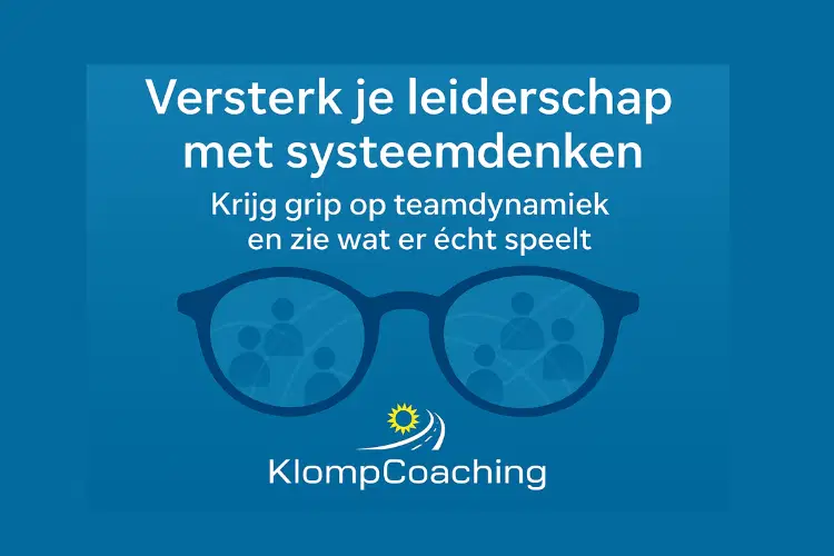 Afbeelding bij online cursus Versterk je leiderschap met systeemdenken