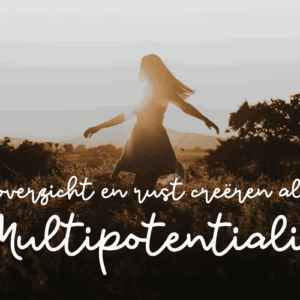 Afbeelding bij online cursus overzicht en rust creëren als multipotentialite