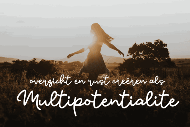 Afbeelding bij online cursus overzicht en rust creëren als multipotentialite