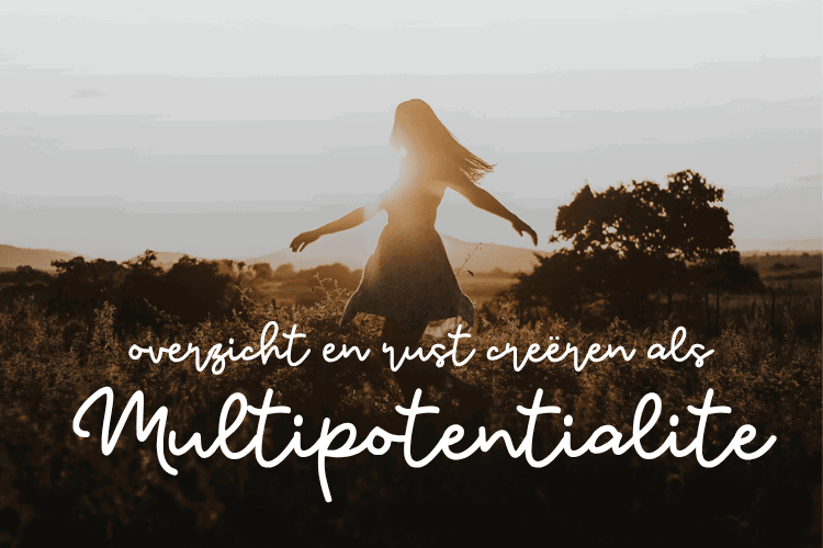 Afbeelding bij online cursus overzicht en rust creëren als multipotentialite