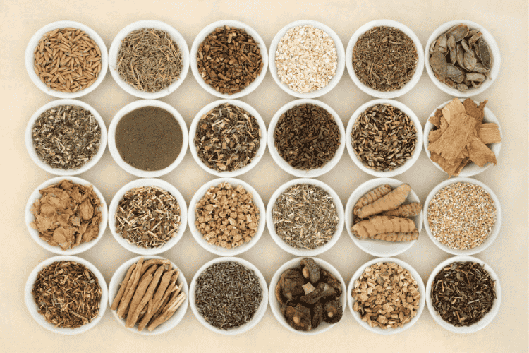 Leer alles over adaptogene kruiden in de opleiding tot holistisch therapeut op Soofos, gegeven door drs Evelyn Prinsen