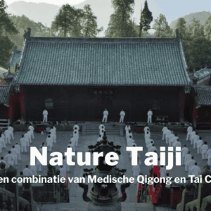 Afbeelding bij online cursus Nature Taiji van Studio Neem Tijd op Soofos