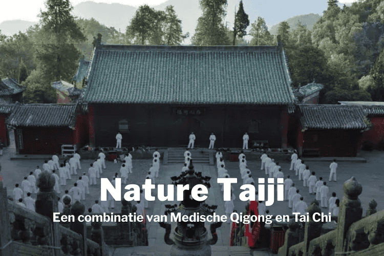 Afbeelding bij online cursus Nature Taiji van Studio Neem Tijd op Soofos