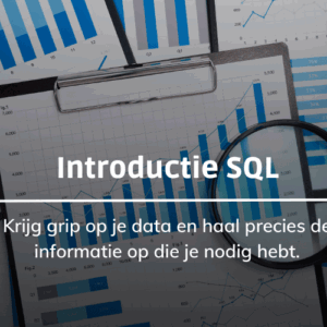 Afbeelding bij online cursus introductie tot SQL op Soofos