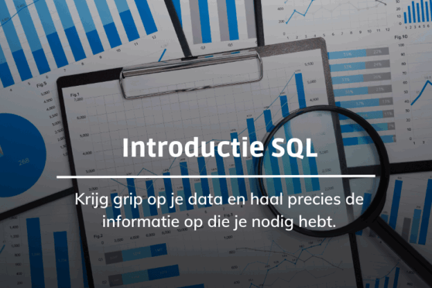 Afbeelding bij online cursus introductie tot SQL op Soofos