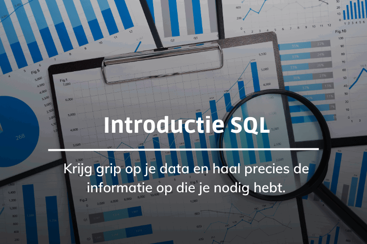 Afbeelding bij online cursus introductie tot SQL op Soofos
