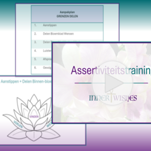 Videotraining voor Assertiviteit