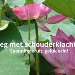 Afbeelding bij online cursus Weg met schouderklachten