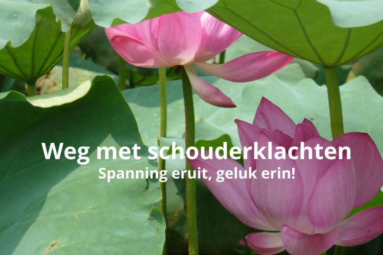 Afbeelding bij online cursus Weg met schouderklachten