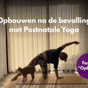 Afbeelding postnatale yoga op Soofos