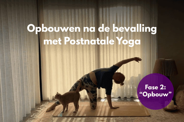 Afbeelding postnatale yoga op Soofos