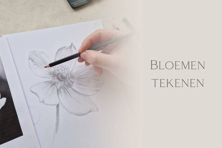 Afbeelding bij online cursus bloemen tekenen voor volwassenen