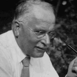 Afbeelding online cursus Carl Jung Psychologie op Soofos
