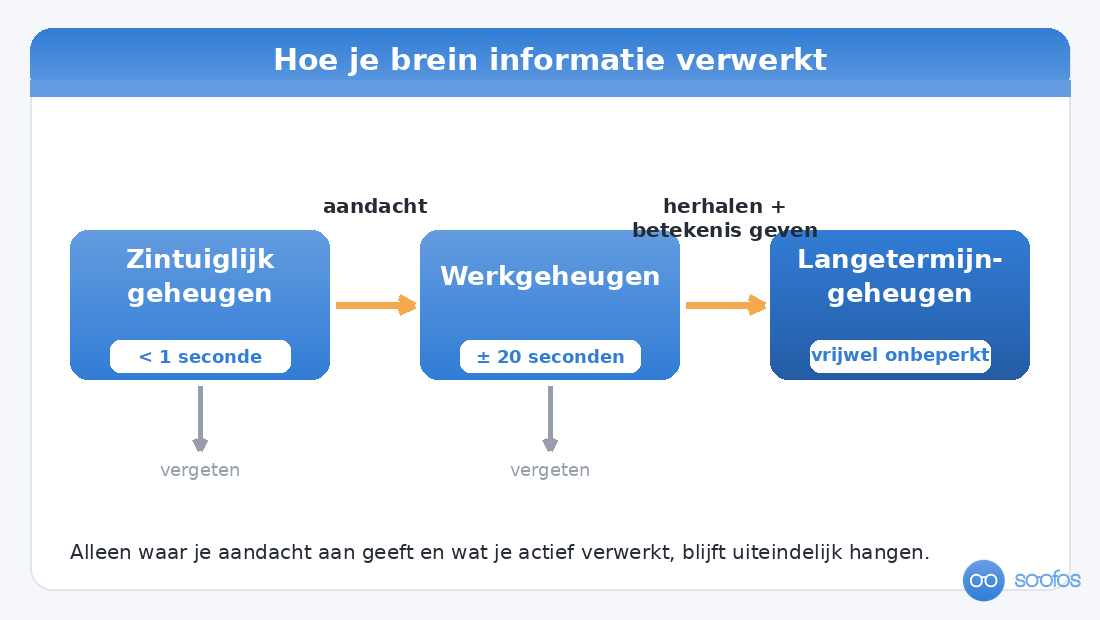 Diagram van het informatieverwerkingsmodel met drie geheugens: zintuiglijk geheugen, werkgeheugen en langetermijngeheugen, met pijlen voor aandacht, herhalen en vergeten.