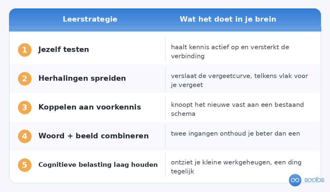 Overzichtstabel met vijf leerstrategieen en wat ze doen in je brein, zoals jezelf testen en herhalingen spreiden.