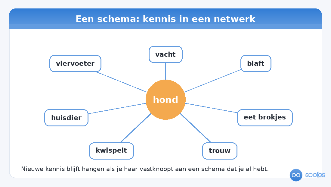 Diagram van een schema rond het woord hond, met verbonden begrippen zoals viervoeter, vacht, blaft en huisdier.