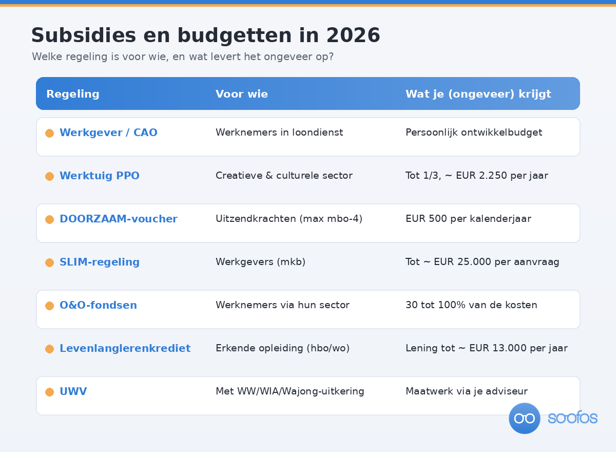 Overzichtstabel van subsidieregelingen in 2026 met per regeling de doelgroep en wat je krijgt.