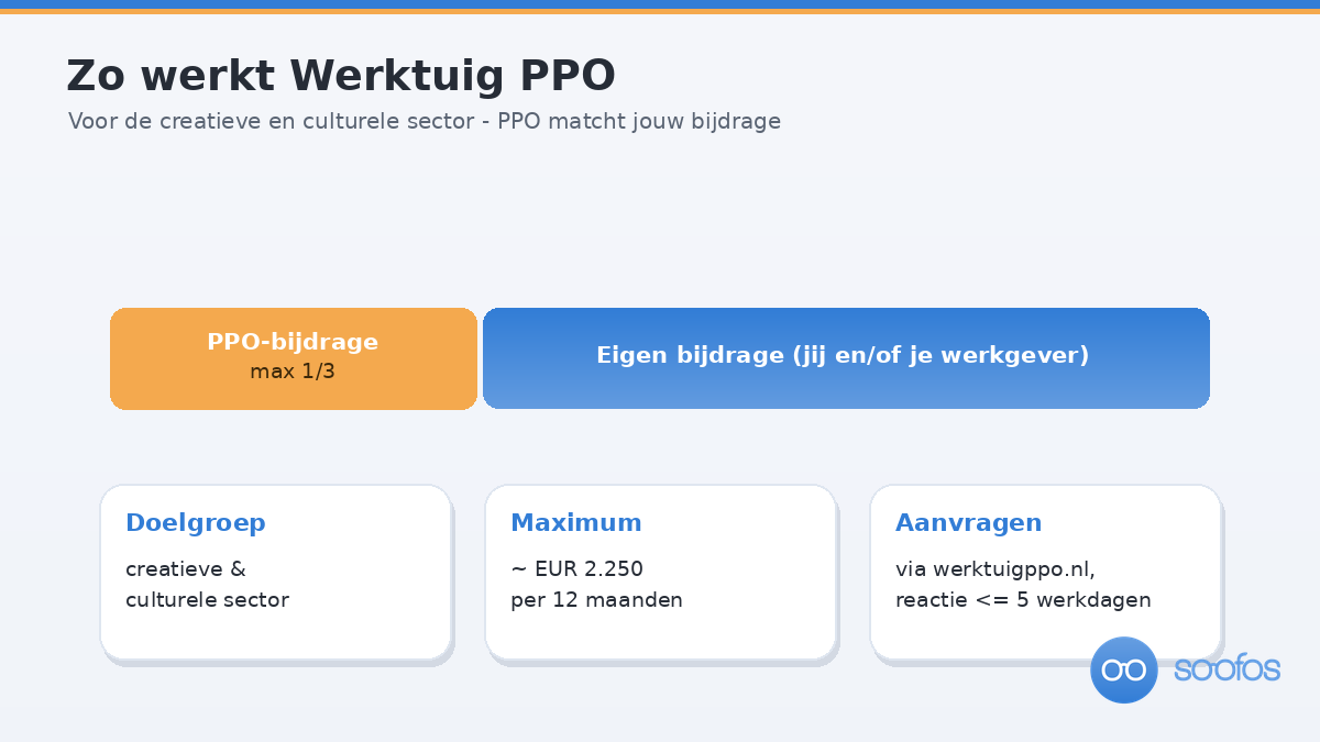 Diagram van Werktuig PPO: maximaal een derde van de kosten vergoed, tot circa 2.250 euro per twaalf maanden.
