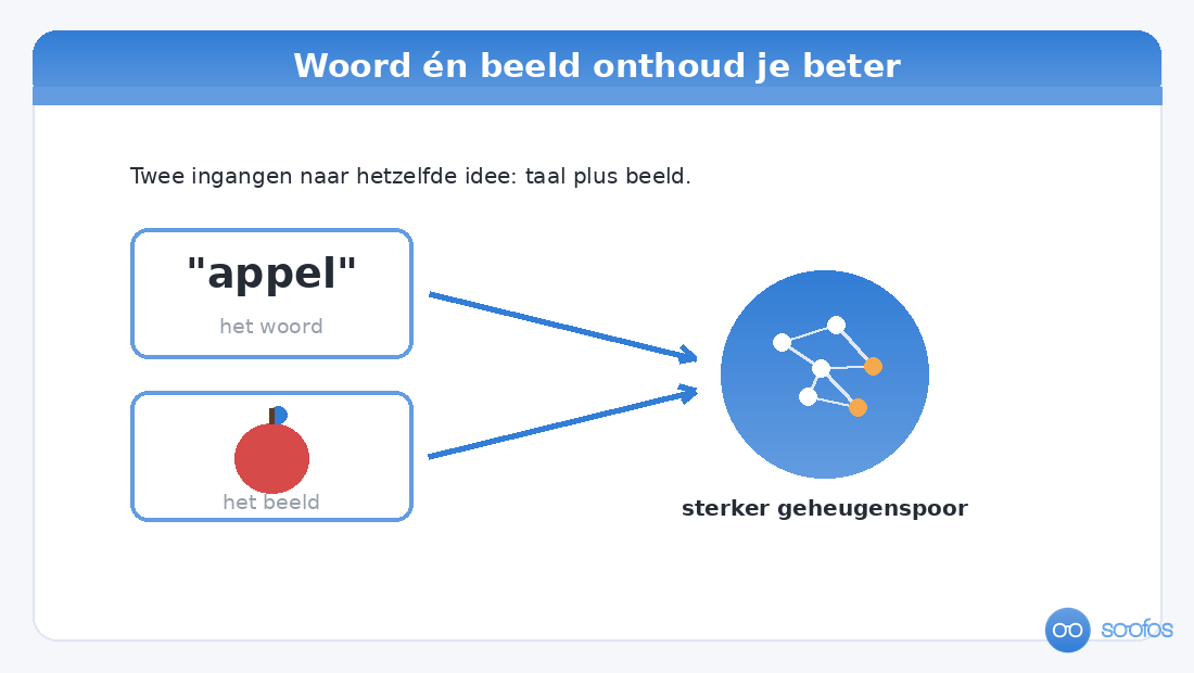 Diagram van dual coding: het woord appel en een afbeelding van een appel komen samen tot een sterker geheugenspoor in je brein.