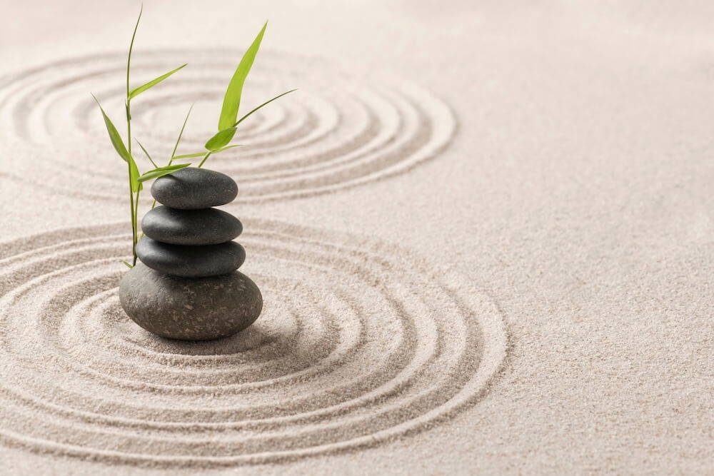 Mindfulness cursussen