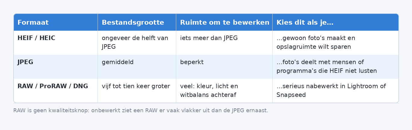 Vergelijking van HEIF, JPEG en RAW op bestandsgrootte, bewerkruimte en wanneer je welk formaat kiest