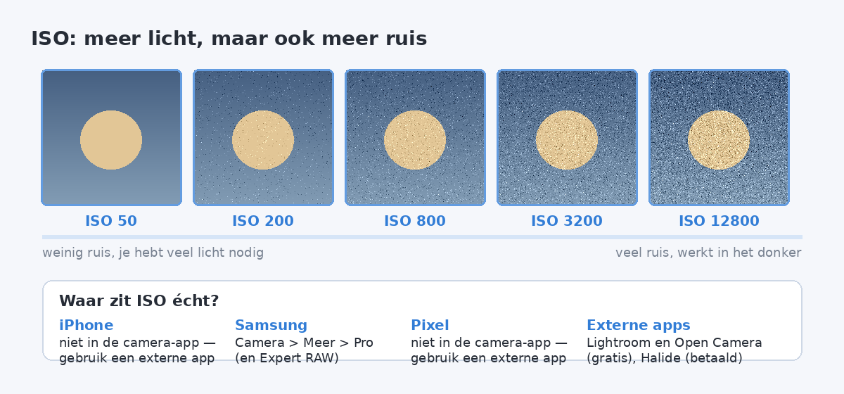 Vijf beeldvlakken van ISO 50 tot ISO 12800 waarop de ruis steeds sterker toeneemt, met per merk waar je ISO handmatig kunt instellen